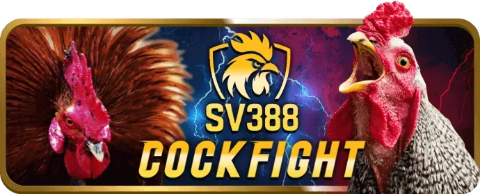 Cá cược thể thao đa dạng tại xn888 casino